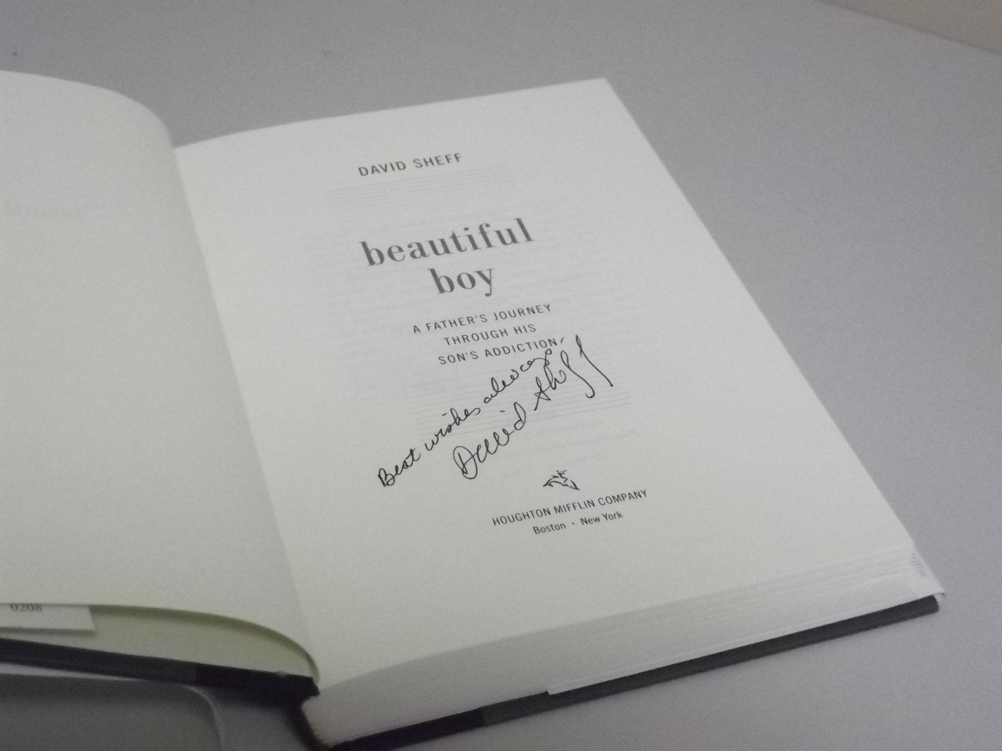 Beautiful Boy: A Fathers Journey Through His Sons Addiction