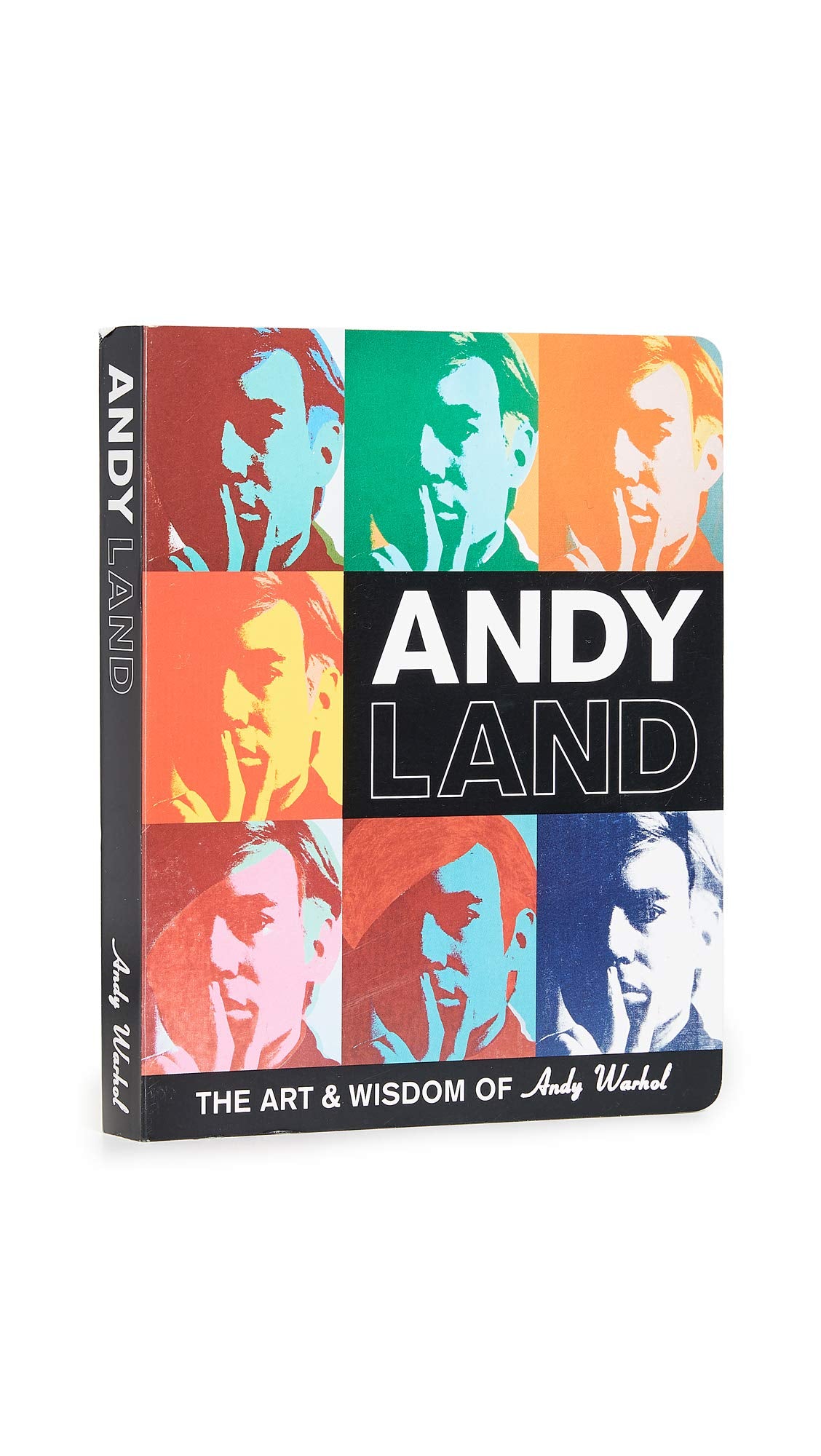 Andy Warhol Andyland