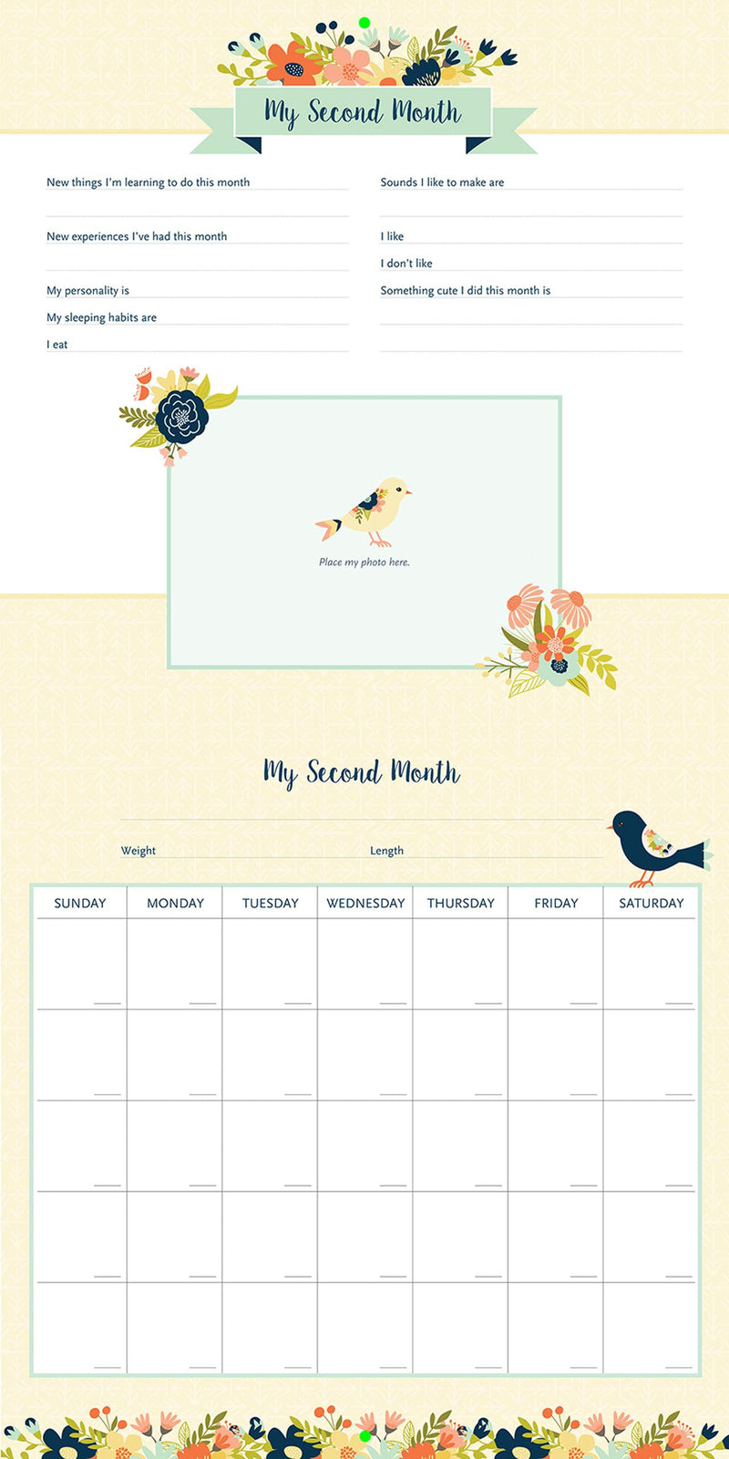 My Life as a Baby: A FirstYear Calendar (Birds),Used