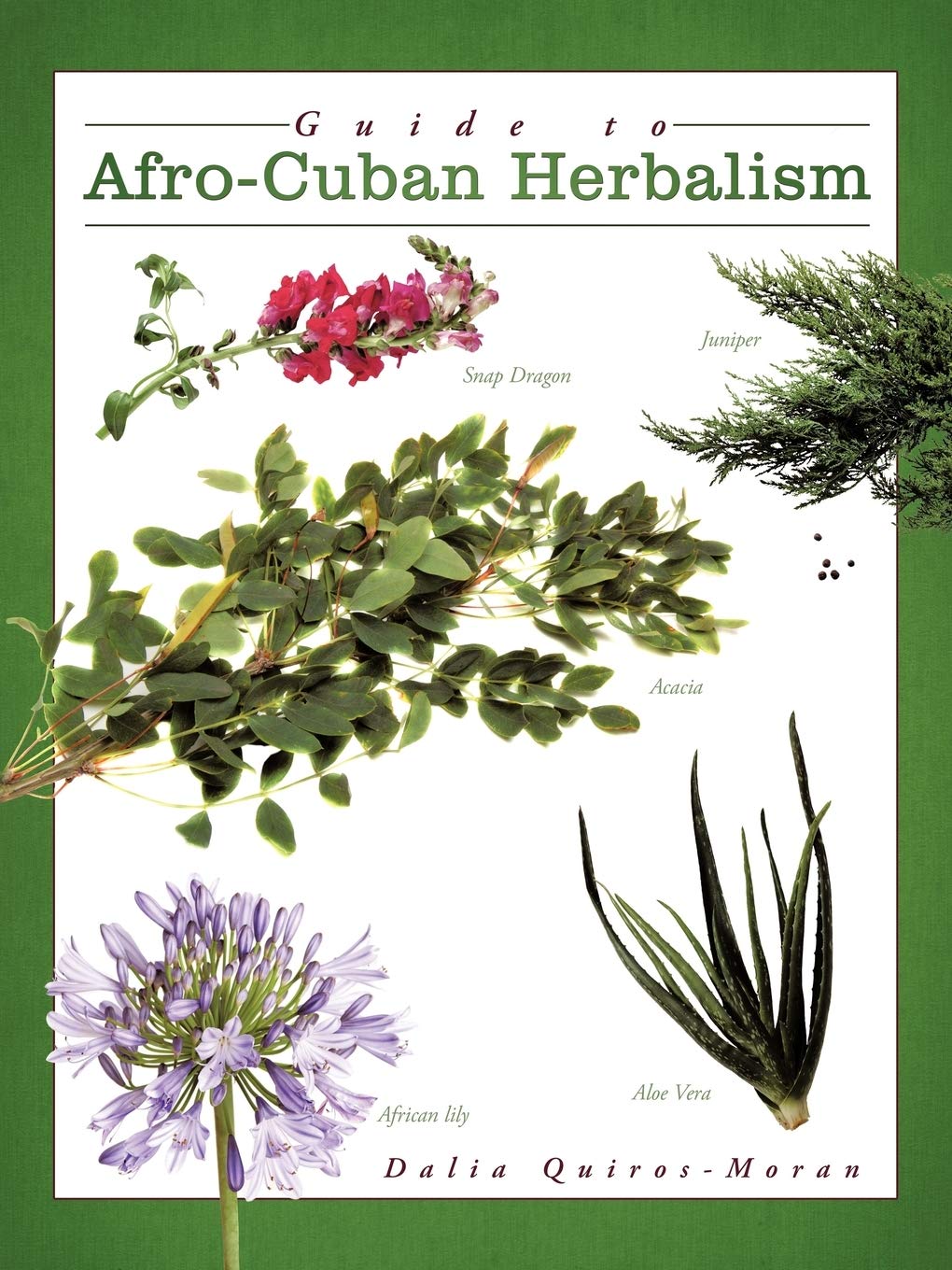 Guide to AfroCuban Herbalism,Used