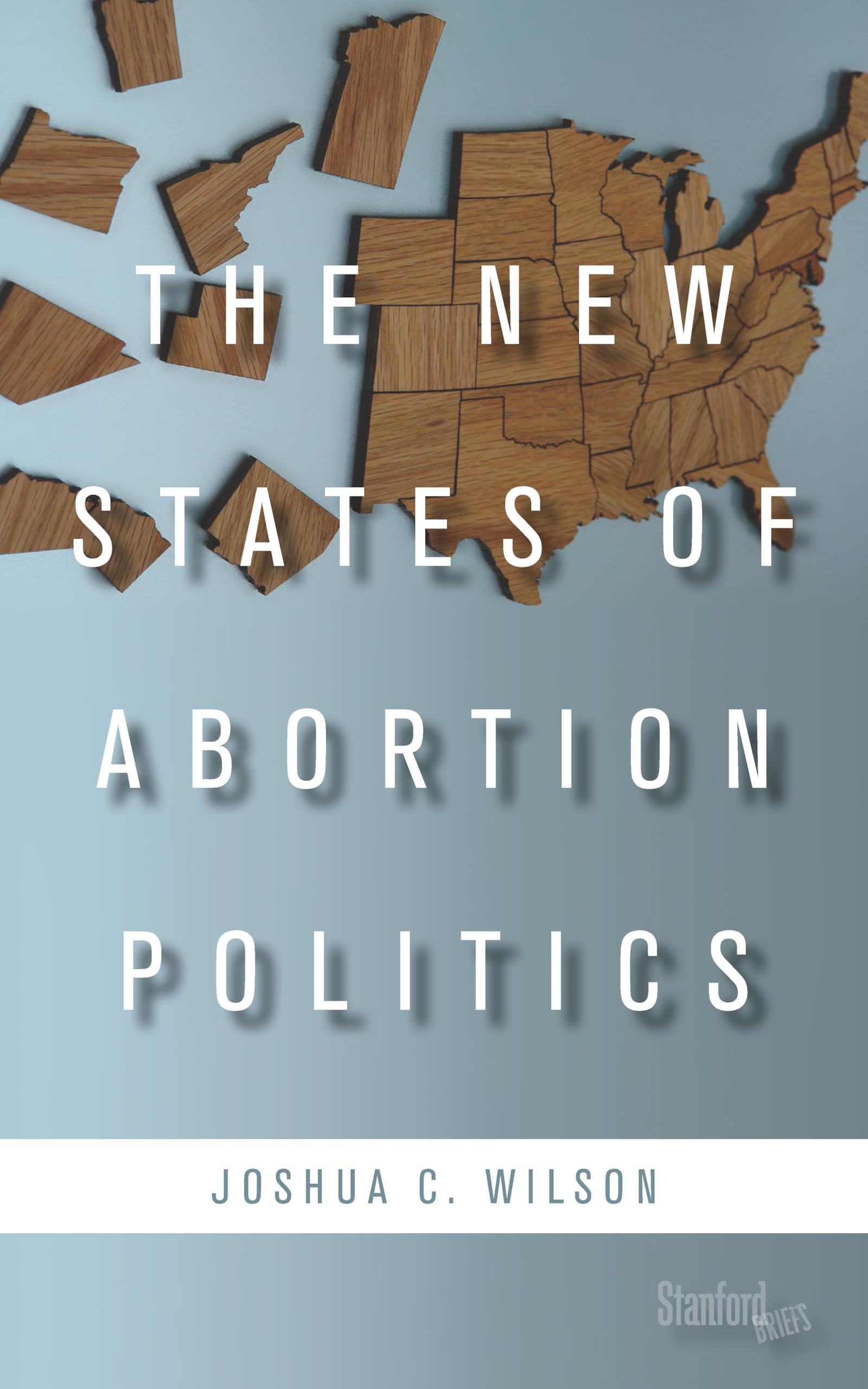 The New States Of Abortion Politics,Used