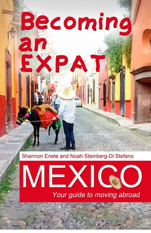 Becoming an Expat Mexico: Your guide to moving abroad,Used