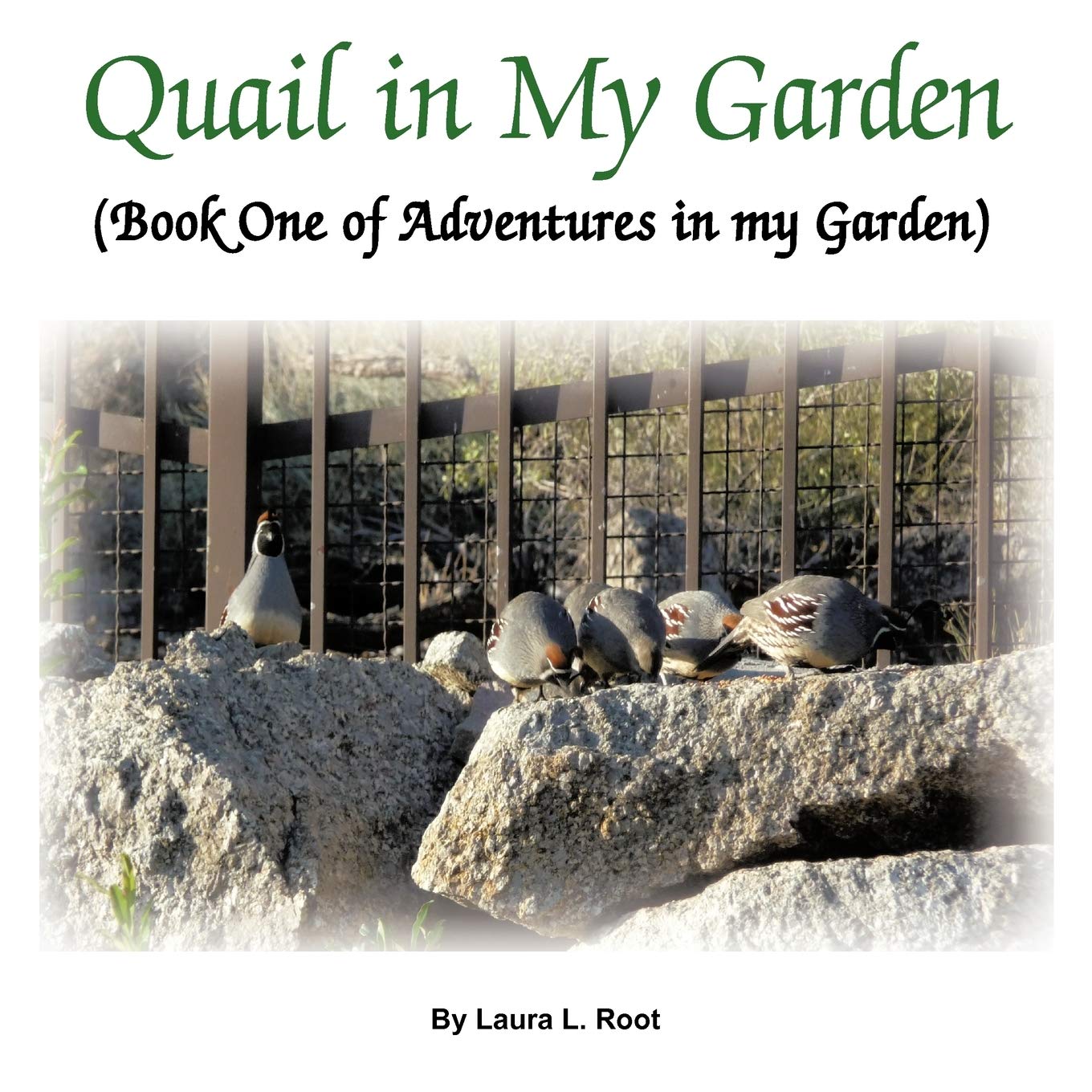 Quail In My Garden: Book One Of Adventures In My Garden,Used