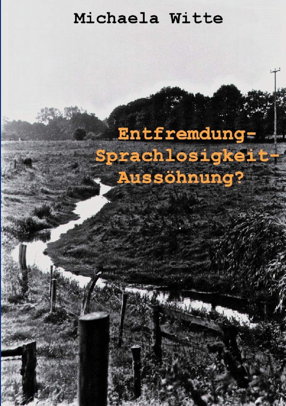 Entfremdung  Sprachlosigkeit  Ausshnung ?: Deutschtschechische Verstndigungsprobleme in der Vertreibungsfrage (vyhnani a odsu,Used