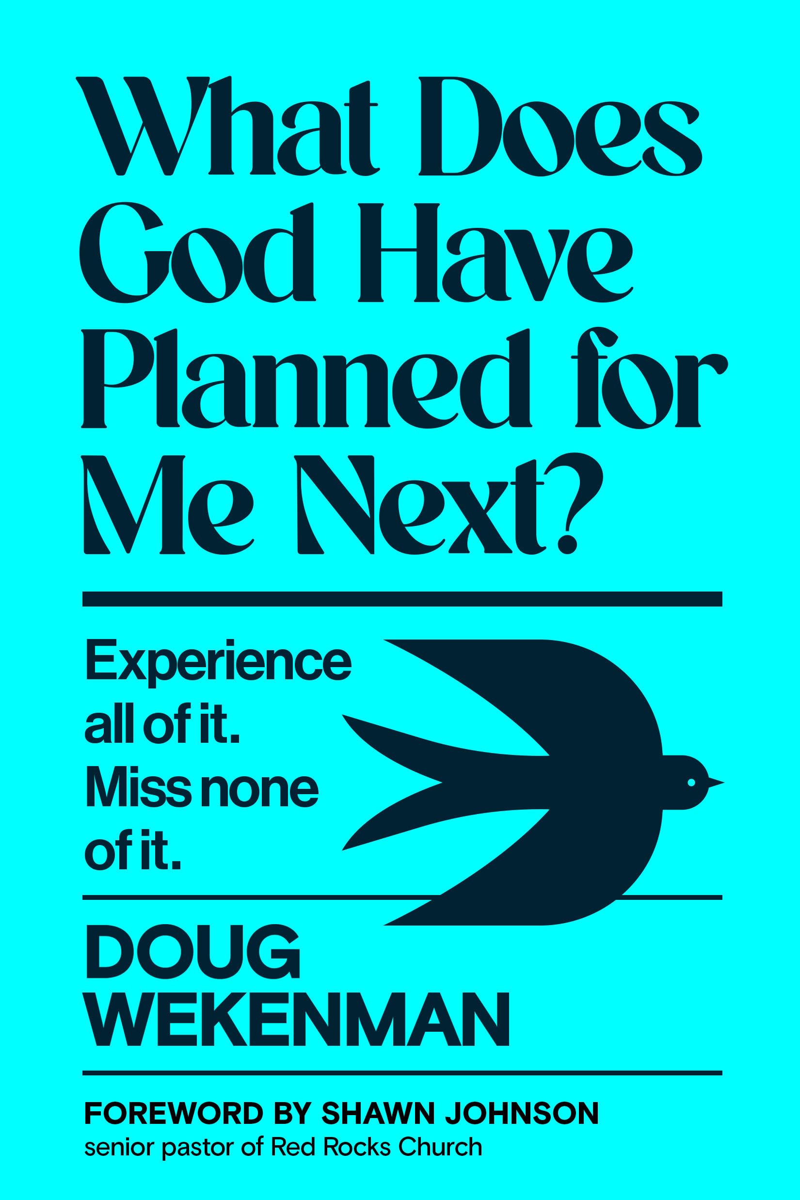 What Does God Have Planned For Me Next?: Experience All Of It. Miss None Of It.