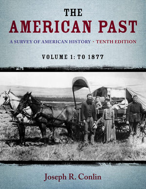 The American Past: A Survey of American History, Volume I: To 1877,Used