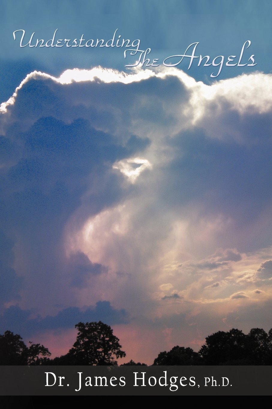 Understanding The Angels,Used