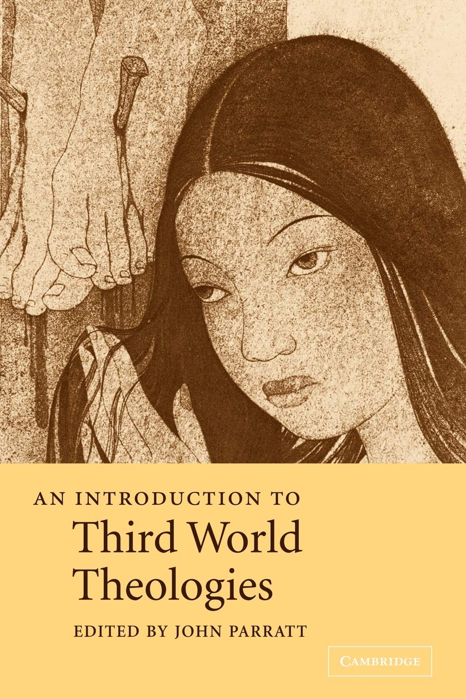 An Introduction to Third World Theologies (Introduction to Religion),Used