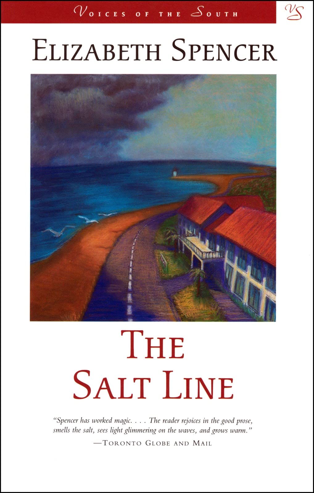 The Salt Line: A Novel (Voices Of The South),Used