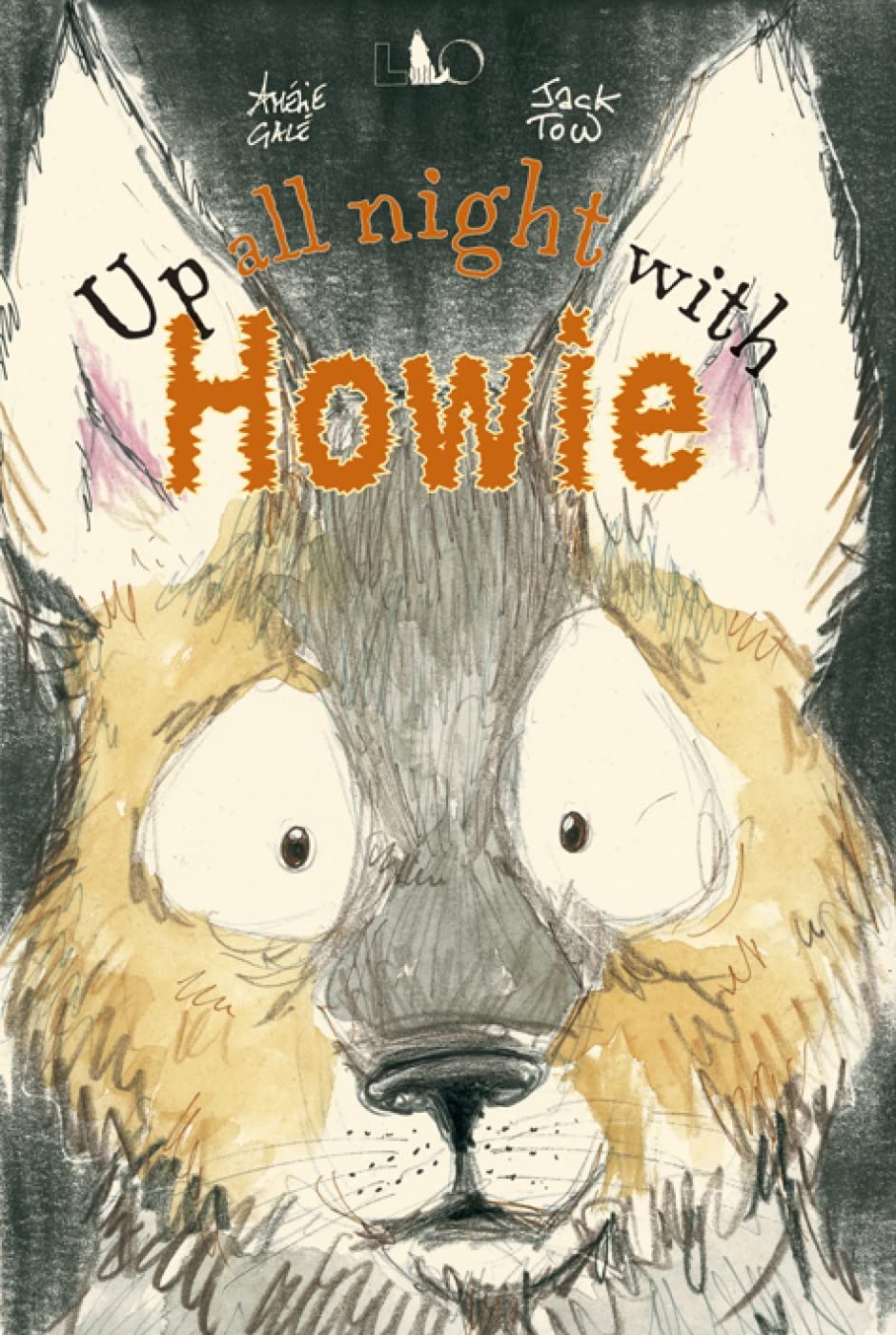 Up All Night With Howie,Used