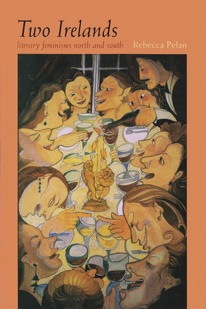 Two Irelands: Literary Feminisms North And South (Irish Studies),Used