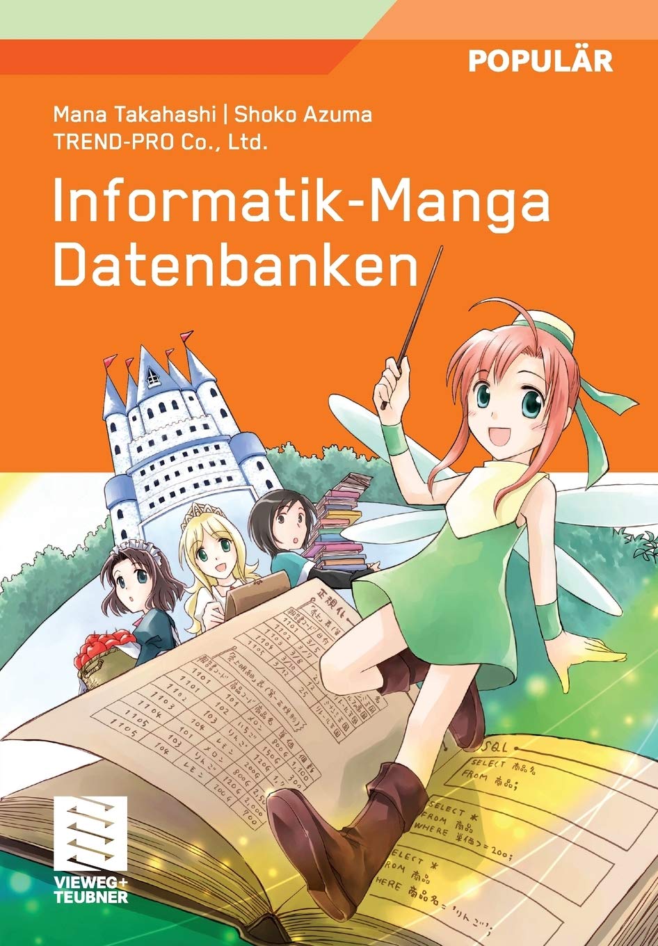 InformatikManga: Datenbanken (German Edition),Used