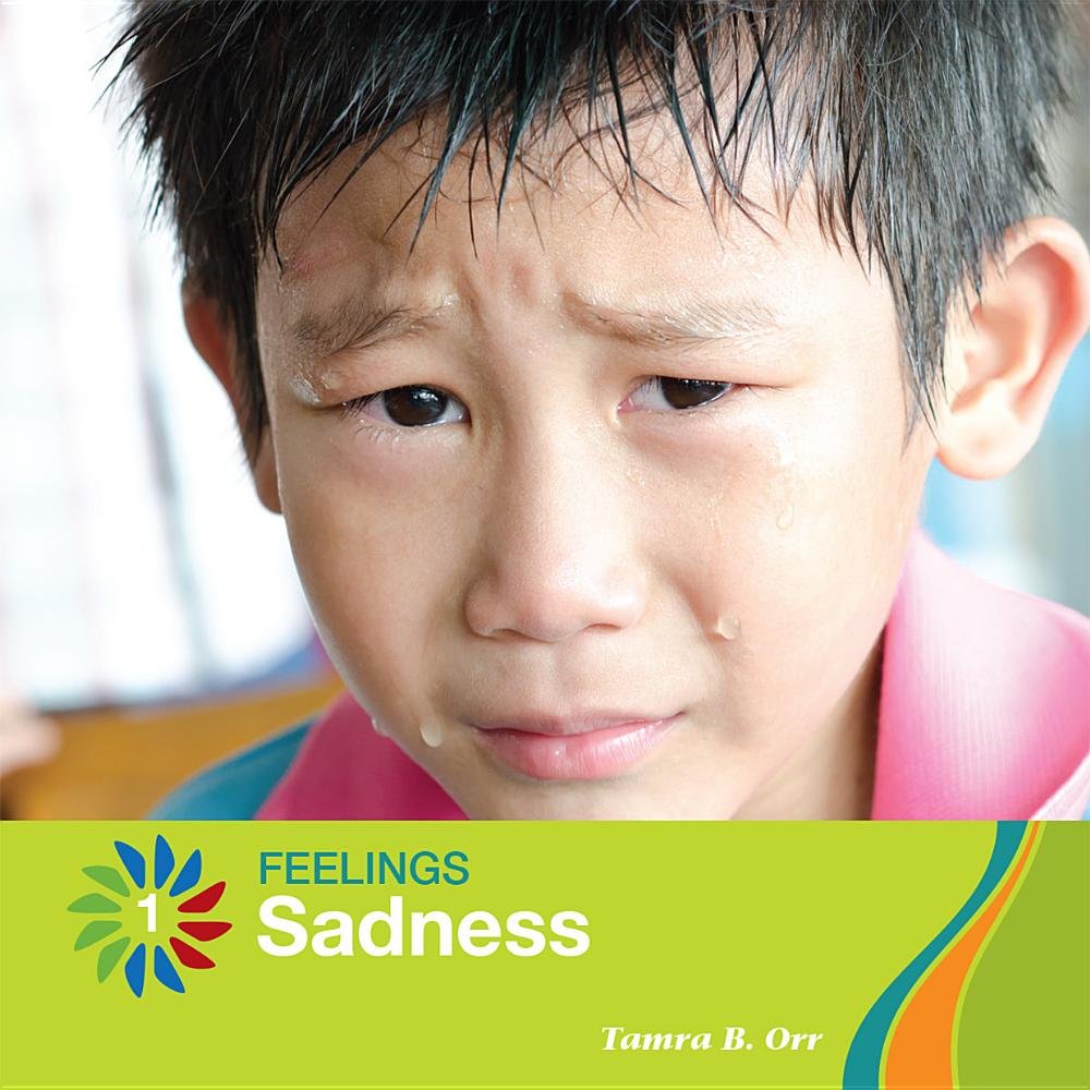 Sadness (21st Century Basic Skills Library: Feelings),Used