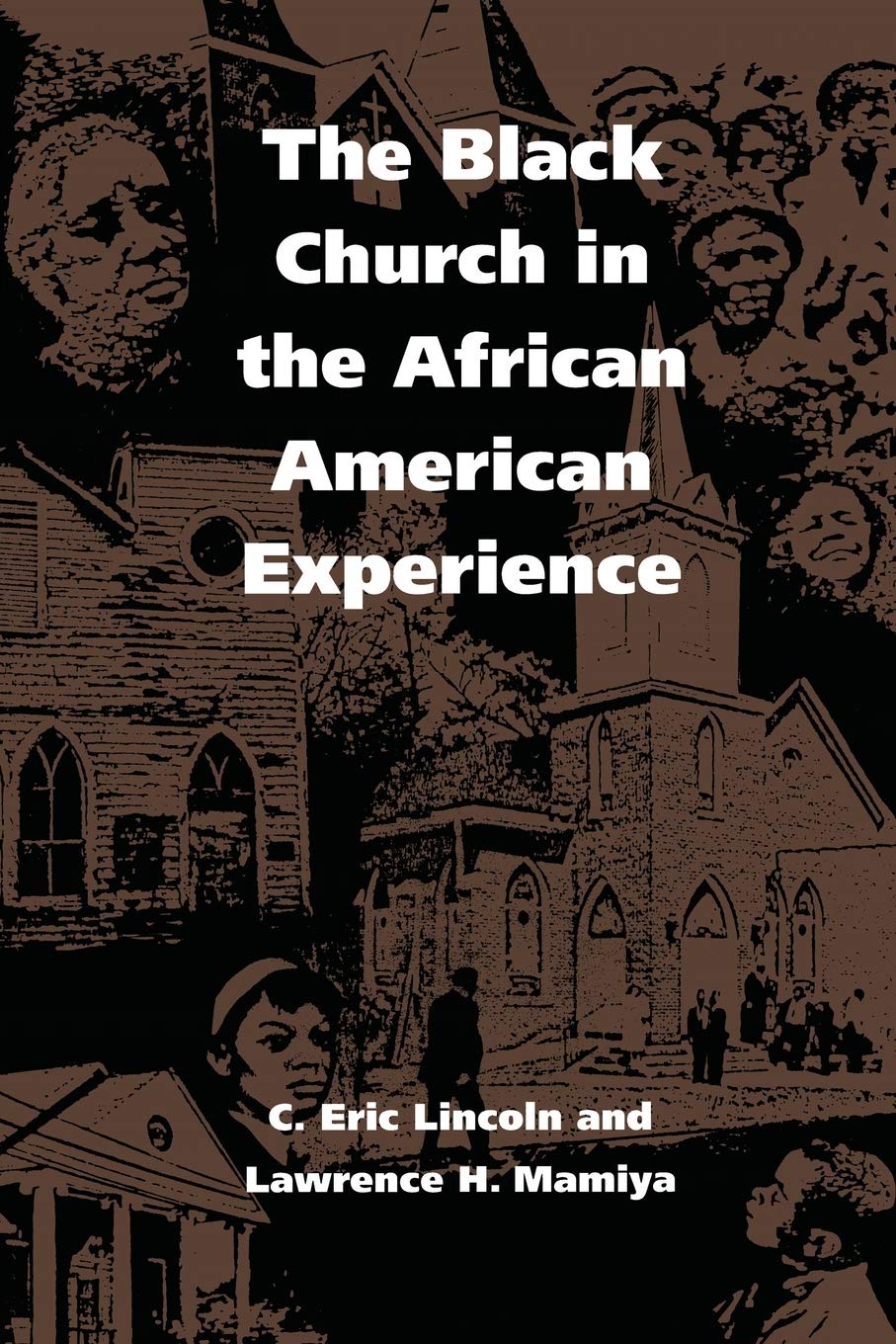 The Black Church in the African American Experience,Used