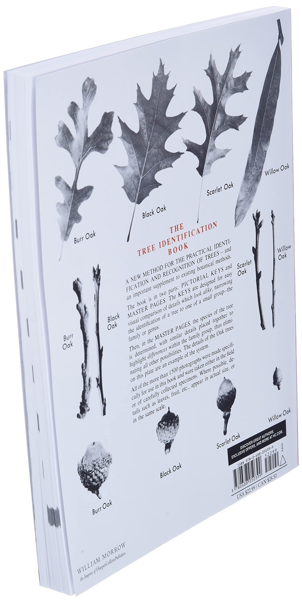 Tree Identification Book : A New Method for the Practical Identification and Recognition of Trees,New
