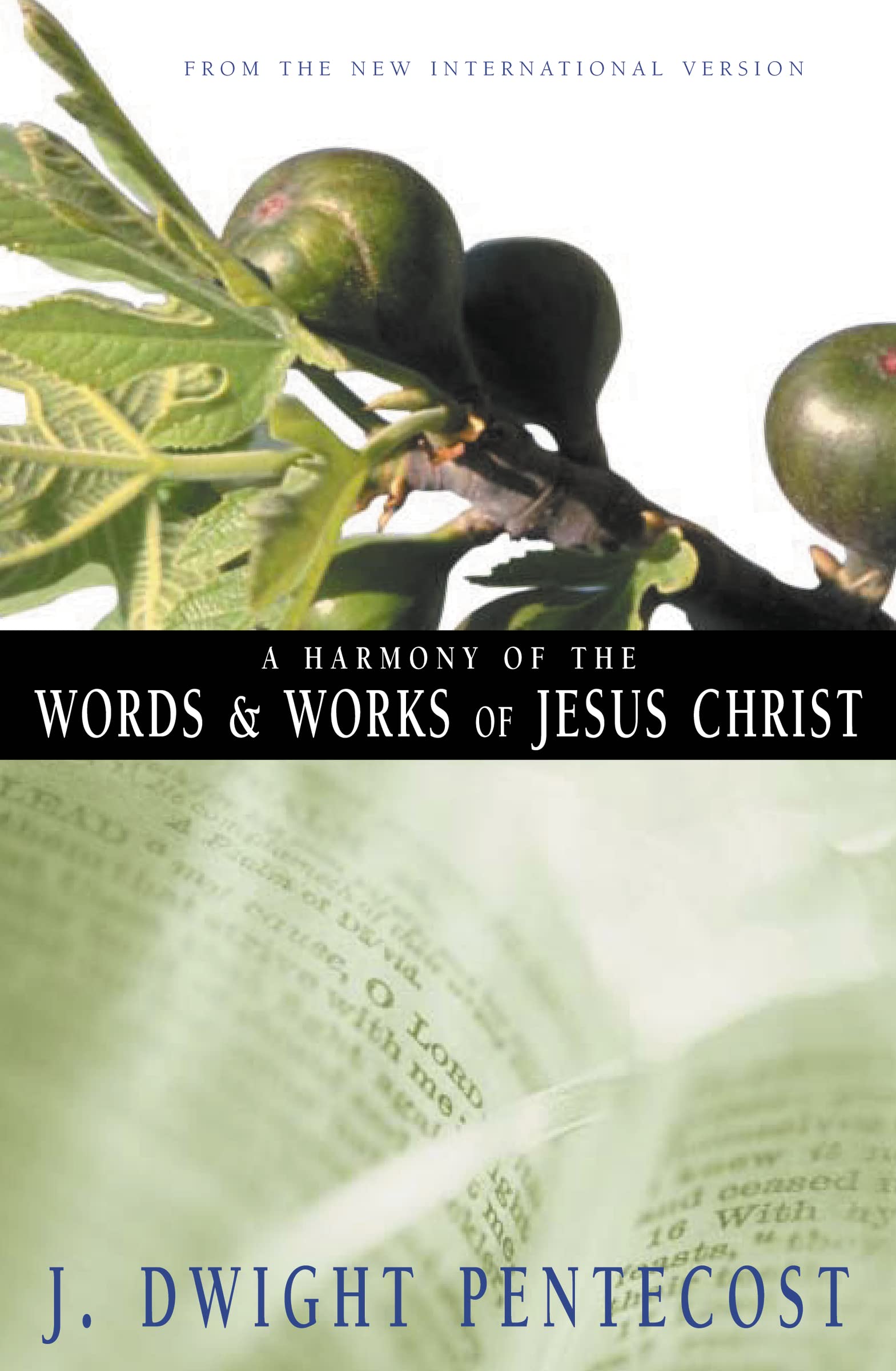A Harmony of the Words and Works of Jesus Christ: From the New International Version,Used