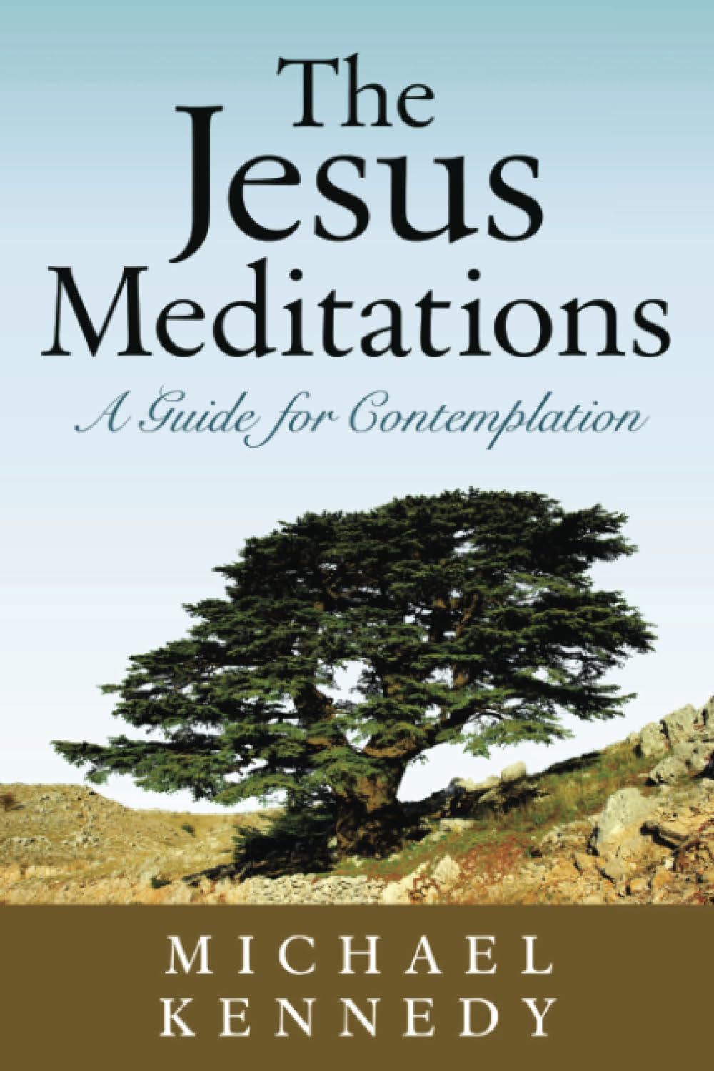 The Jesus Meditations: A Guide for Contemplation,Used