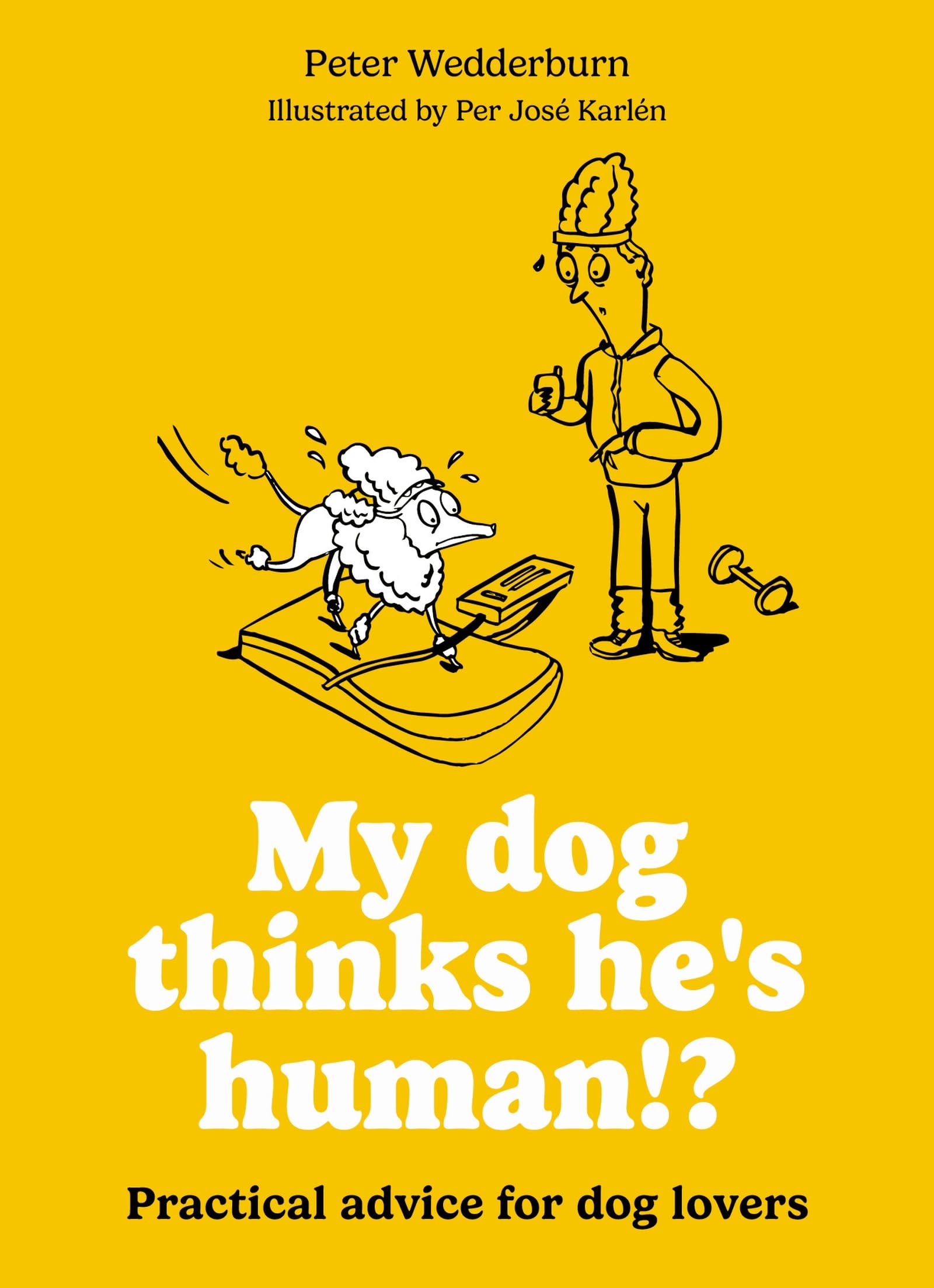 My Dog Thinks HeS Human!?: Practical Advice For Dog Lovers