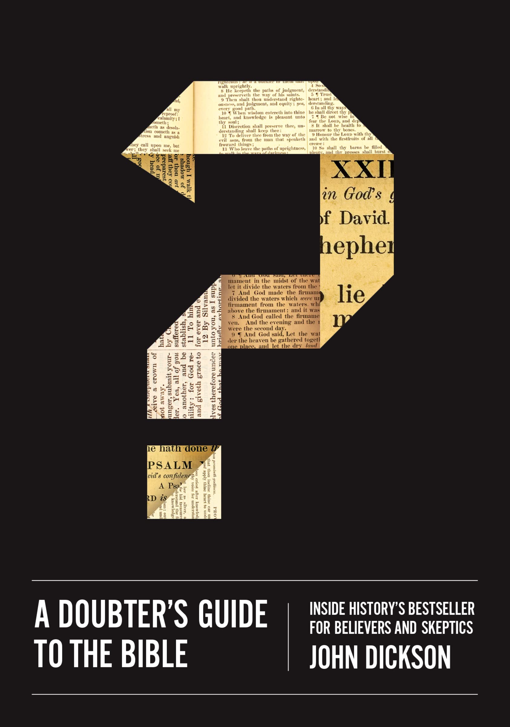 A Doubter's Guide to the Bible: Inside Historys Bestseller for Believers and Skeptics,Used