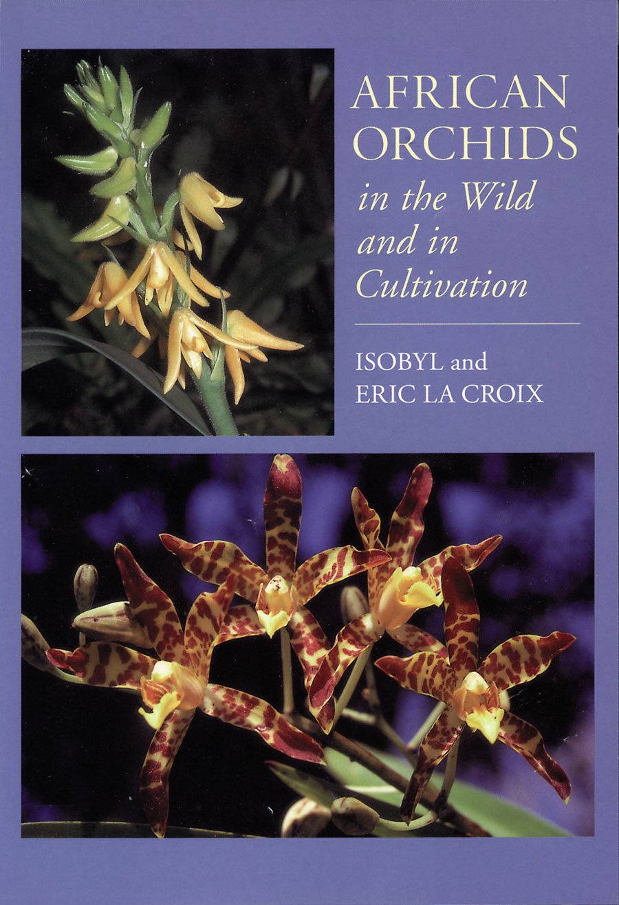 African Orchids In The Wild And In Cultivation