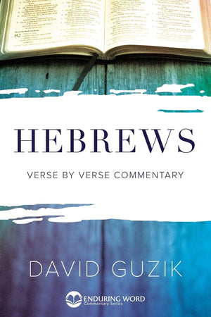 Hebrews Commentary,Used