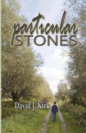 Particular Stones,Used