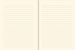 Watercolor Succulents Journal (Diary, Notebook),Used