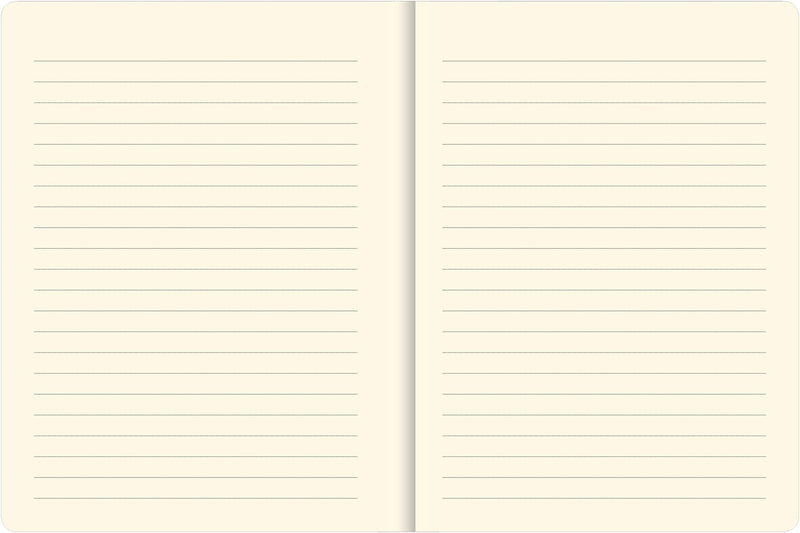 Watercolor Succulents Journal (Diary, Notebook),Used