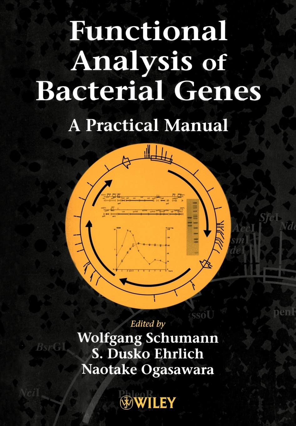 Functional Analysis Of Bacterial Genes: A Practical Manual,New