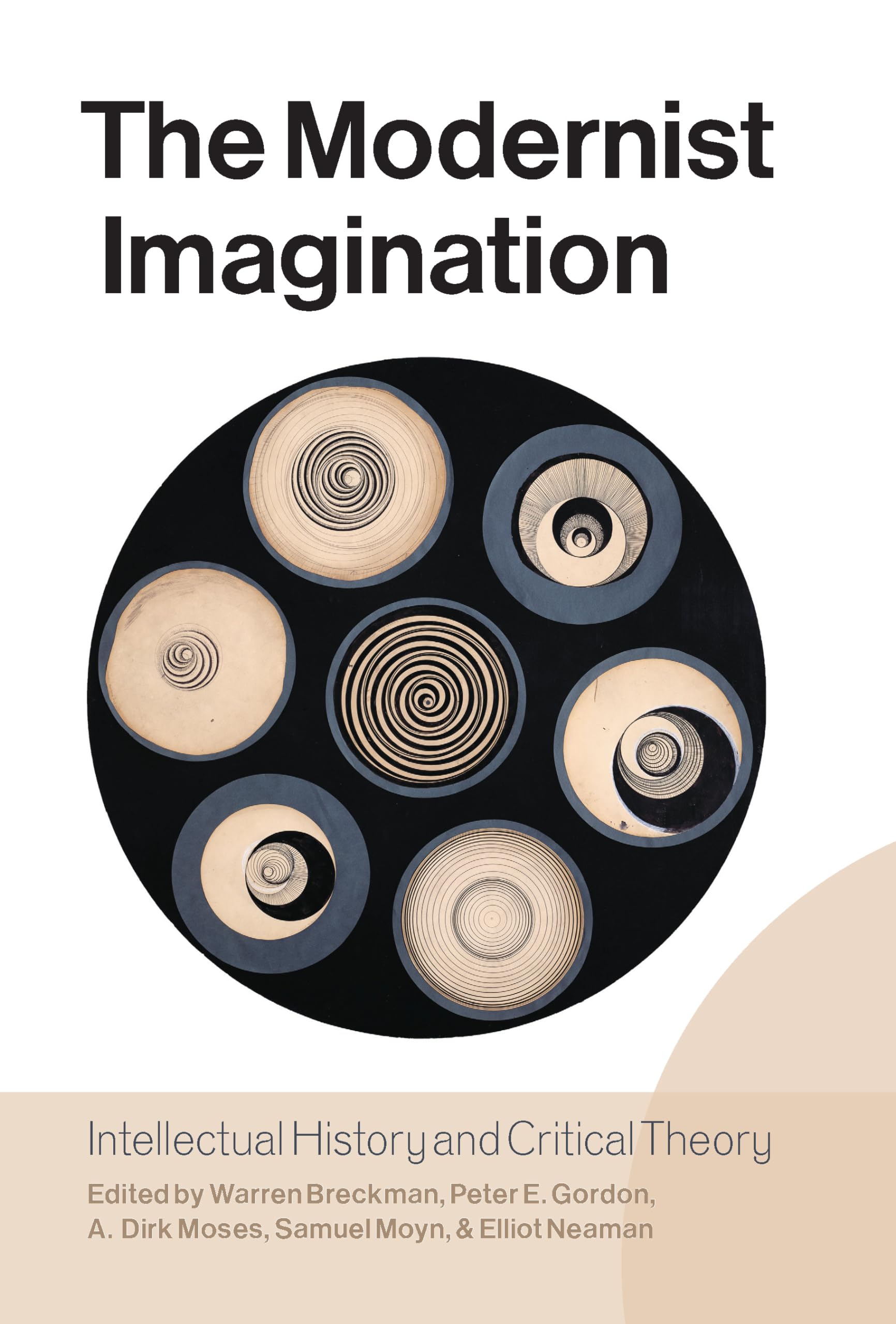 The Modernist Imagination: Intellectual History And Critical Theory,Used