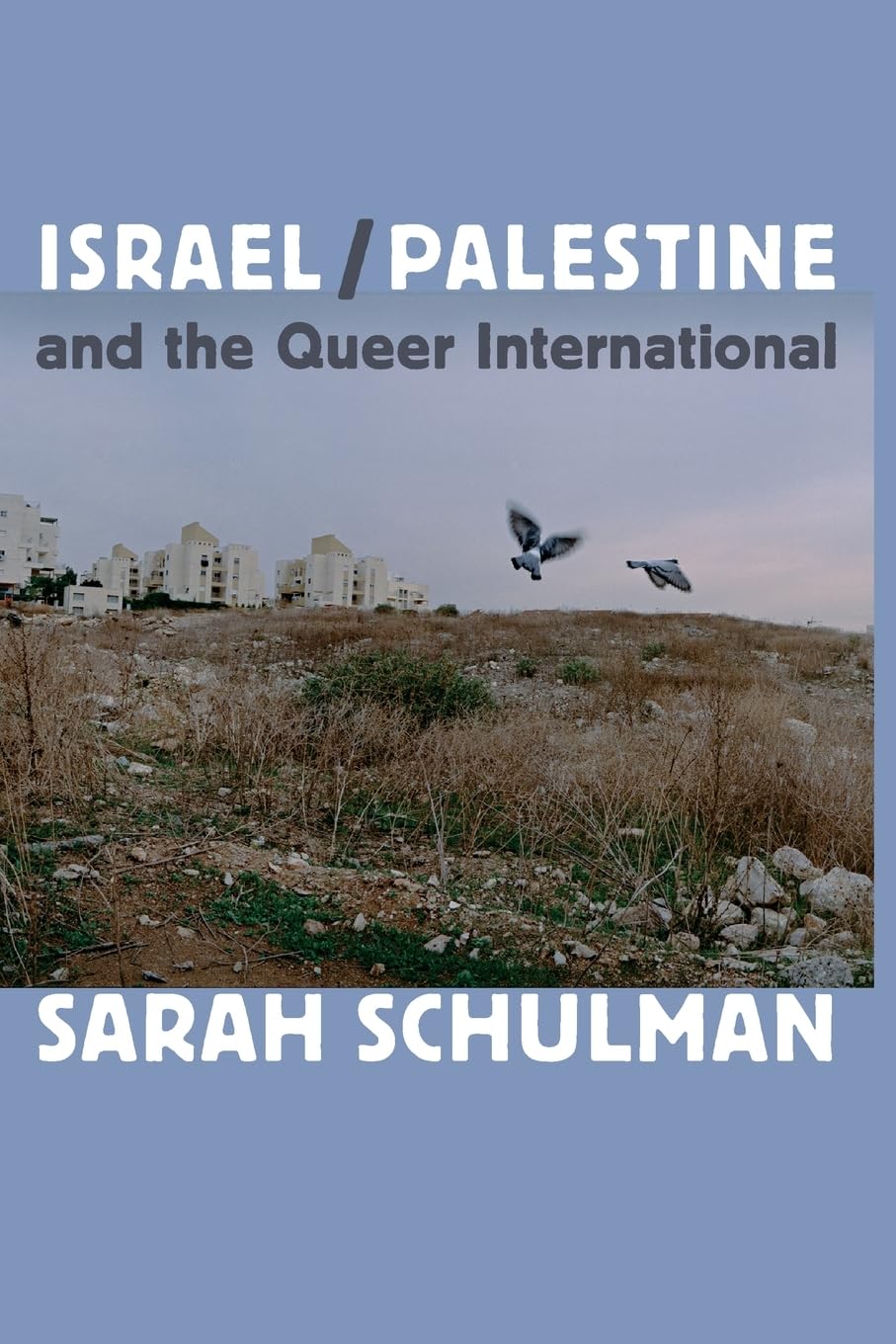 Israel/Palestine and the Queer International,New