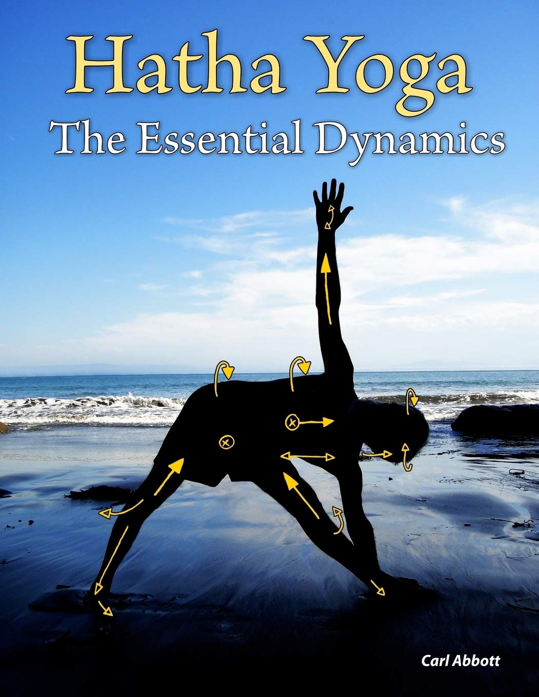 Hatha Yoga: The Essential Dynamics,Used