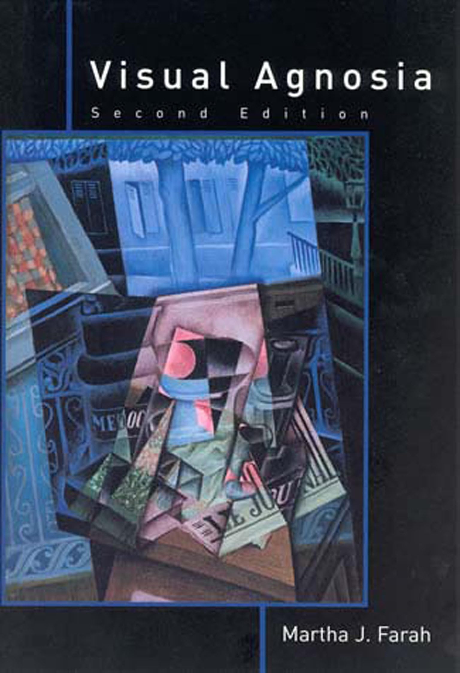 Visual Agnosia, second edition (Mit Press),Used