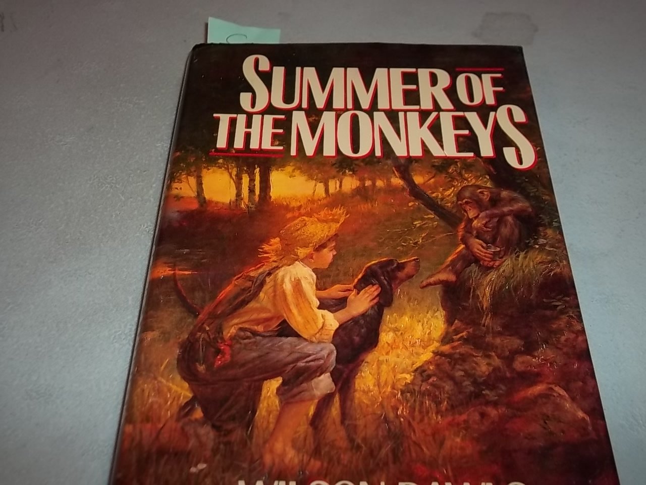 Summer of the Monkeys,Used