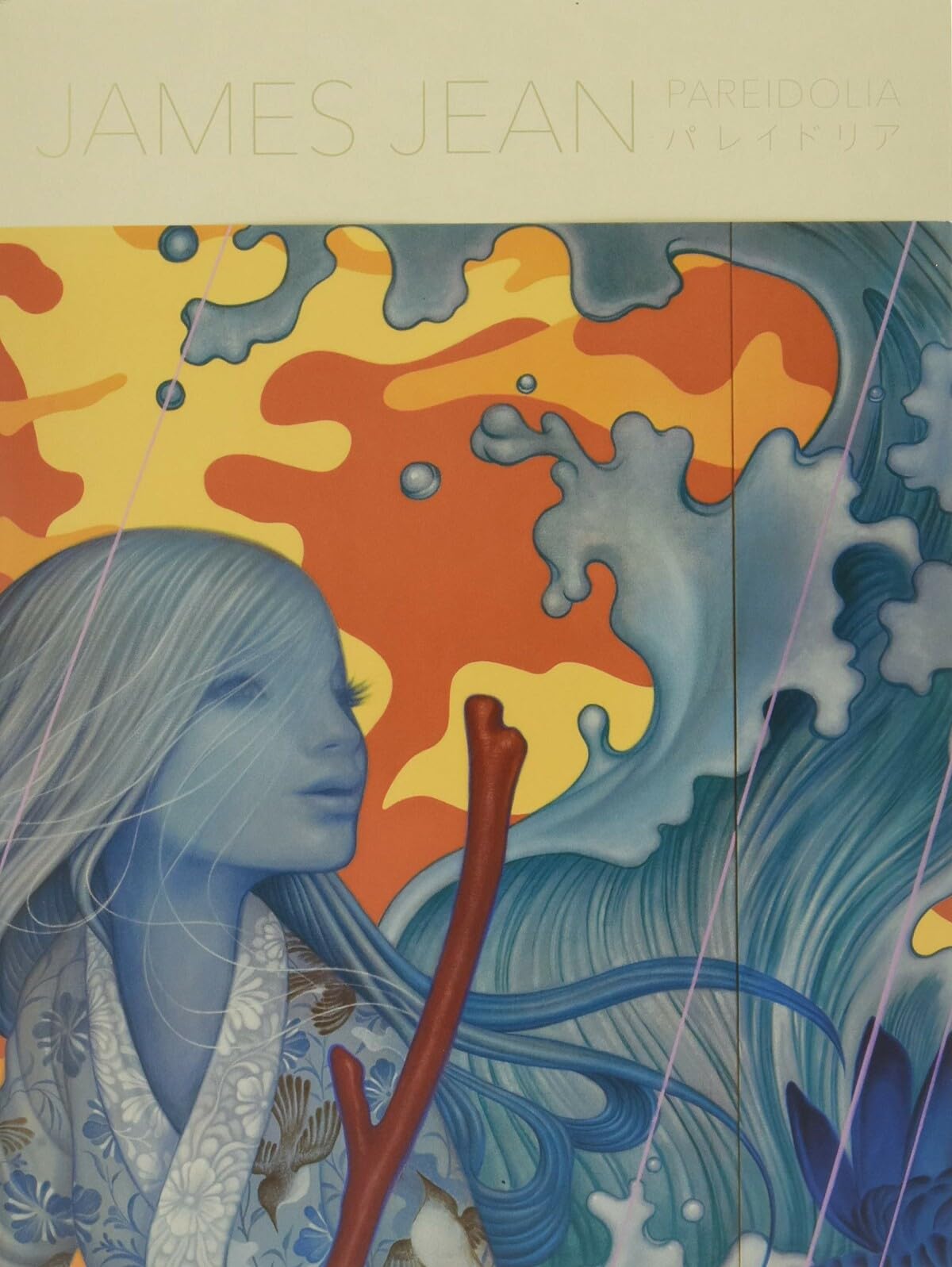 PAREIDOLIA: A Retrospective of Beloved and New Works by James Jean (Japanese Edition),Used