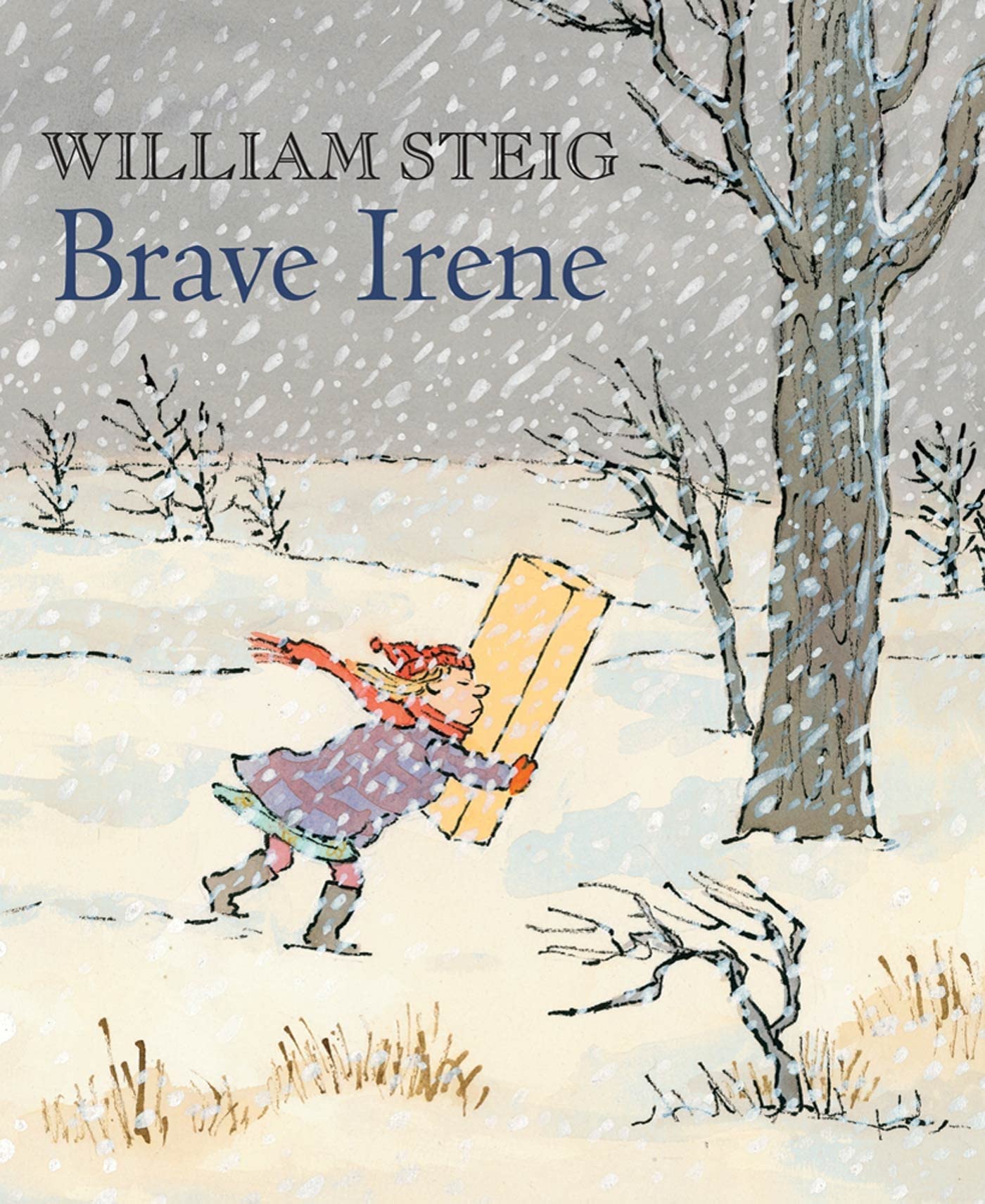 Brave Irene: A Picture Book,Used