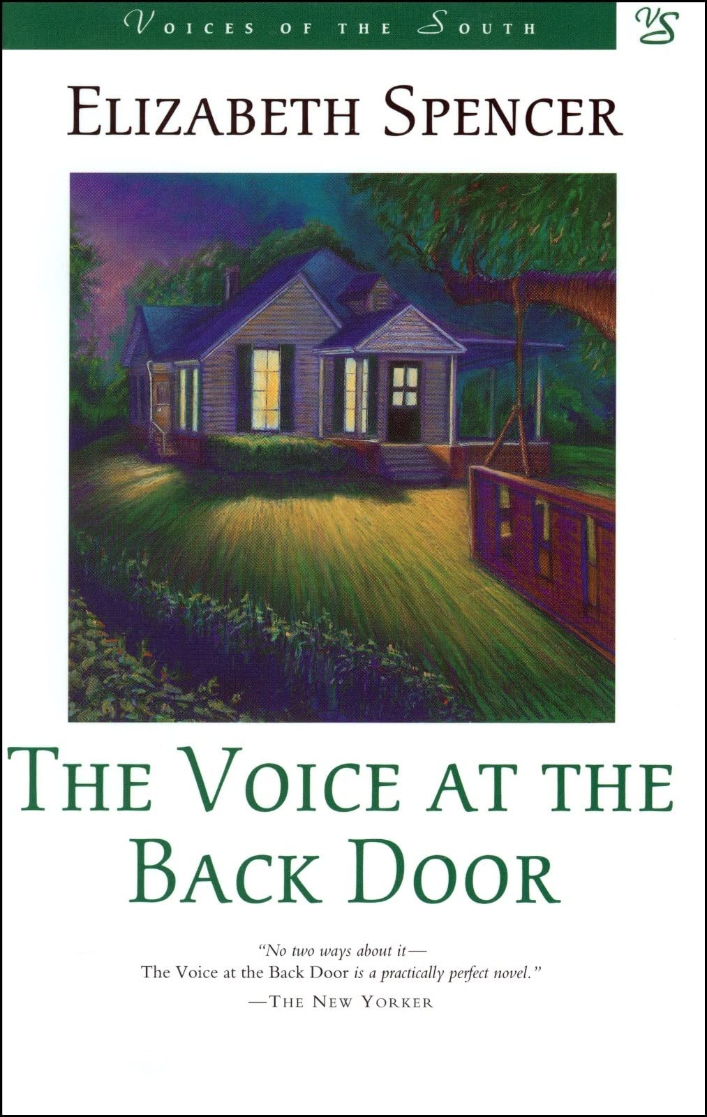 The Voice at the Back Door: A Novel (Voices of the South),New