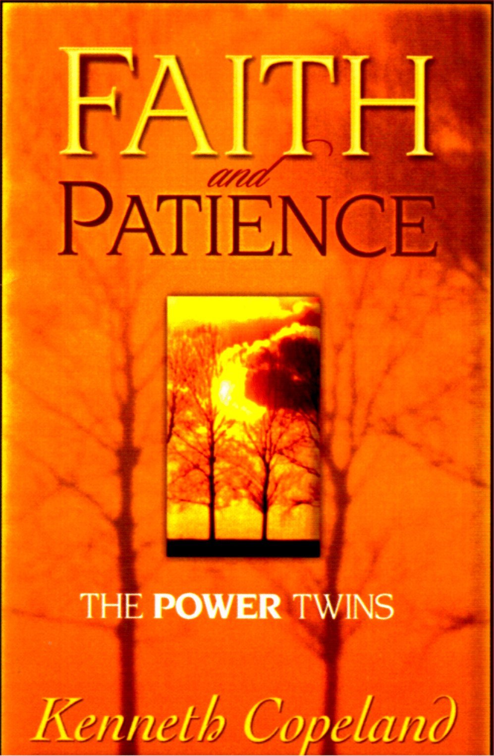 Faith & Patience: The Power Twins,Used