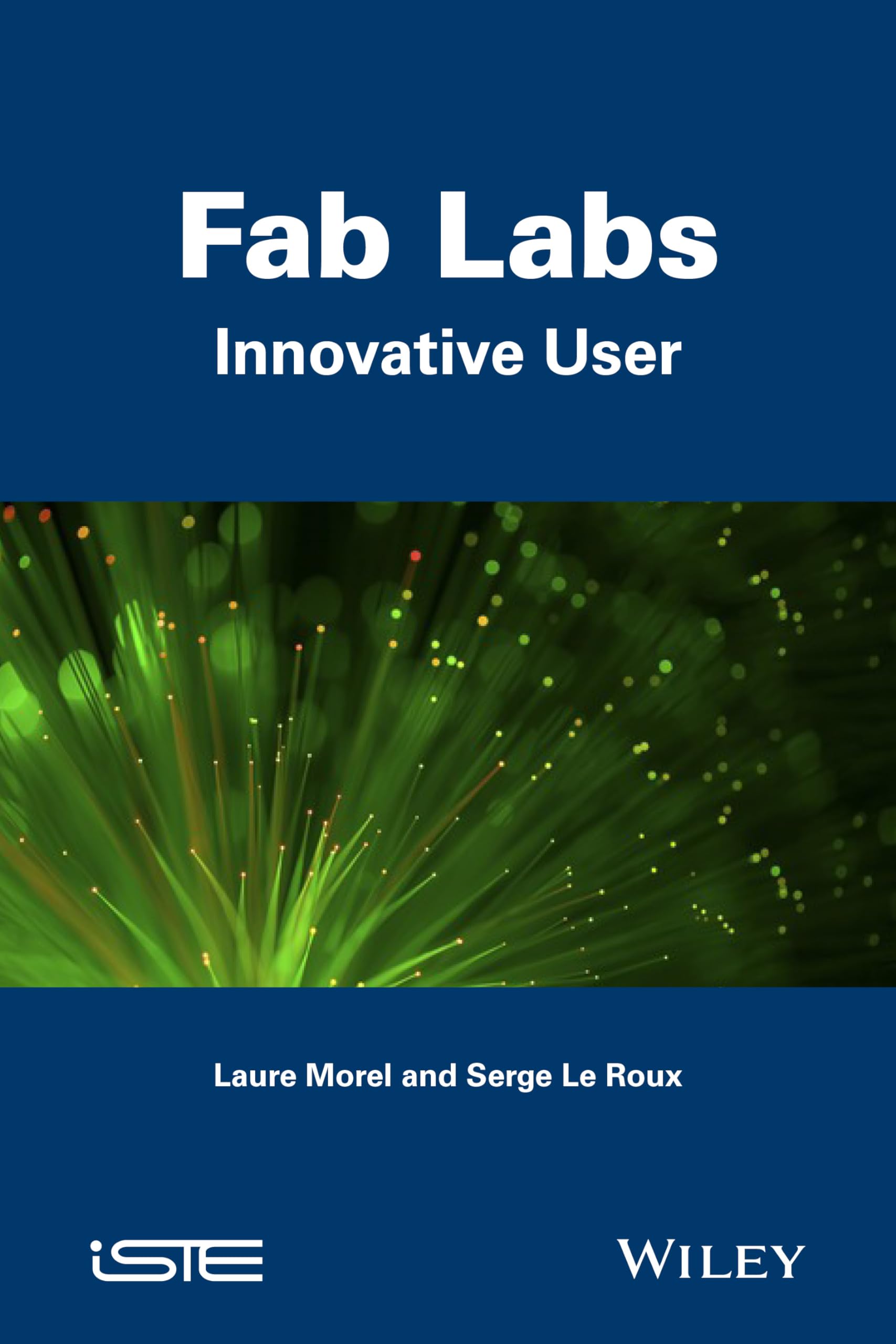 Fab Labs: Innovative User (Innovation, Entrepreneurship, Management Series: Smart Innovation Set, 5),Used