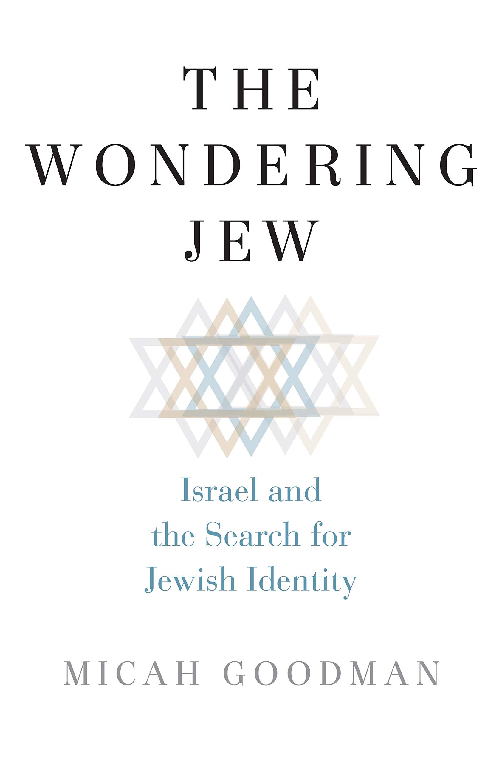 The Wondering Jew: Israel and the Search for Jewish Identity,Used