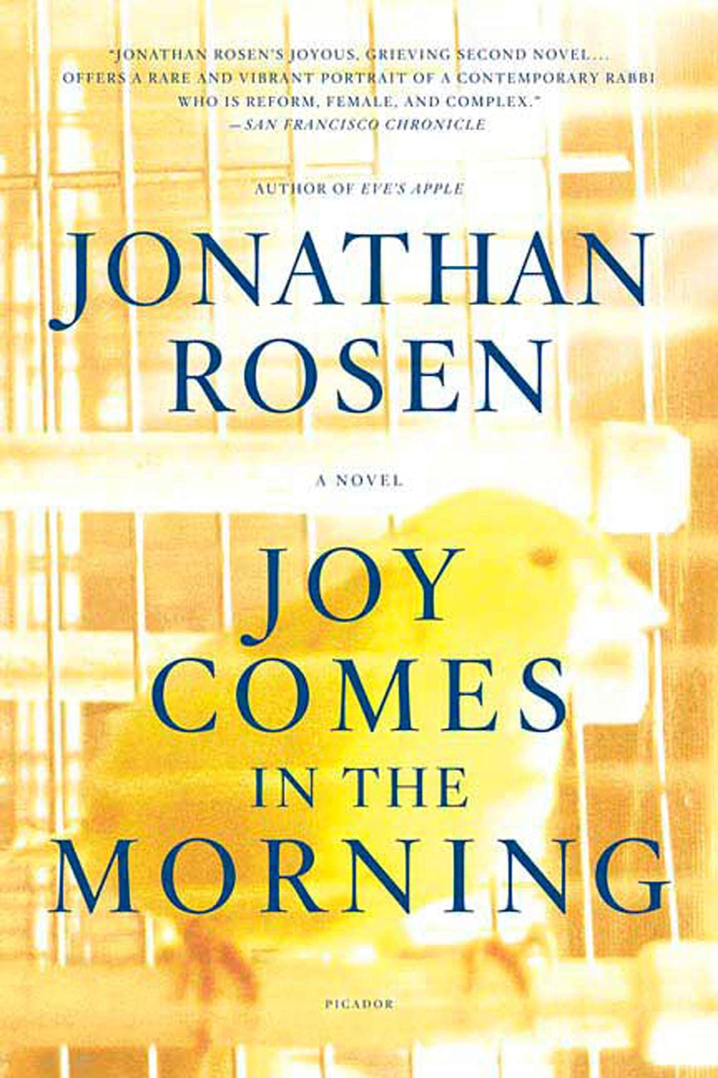 Joy Comes in the Morning: A Novel,Used