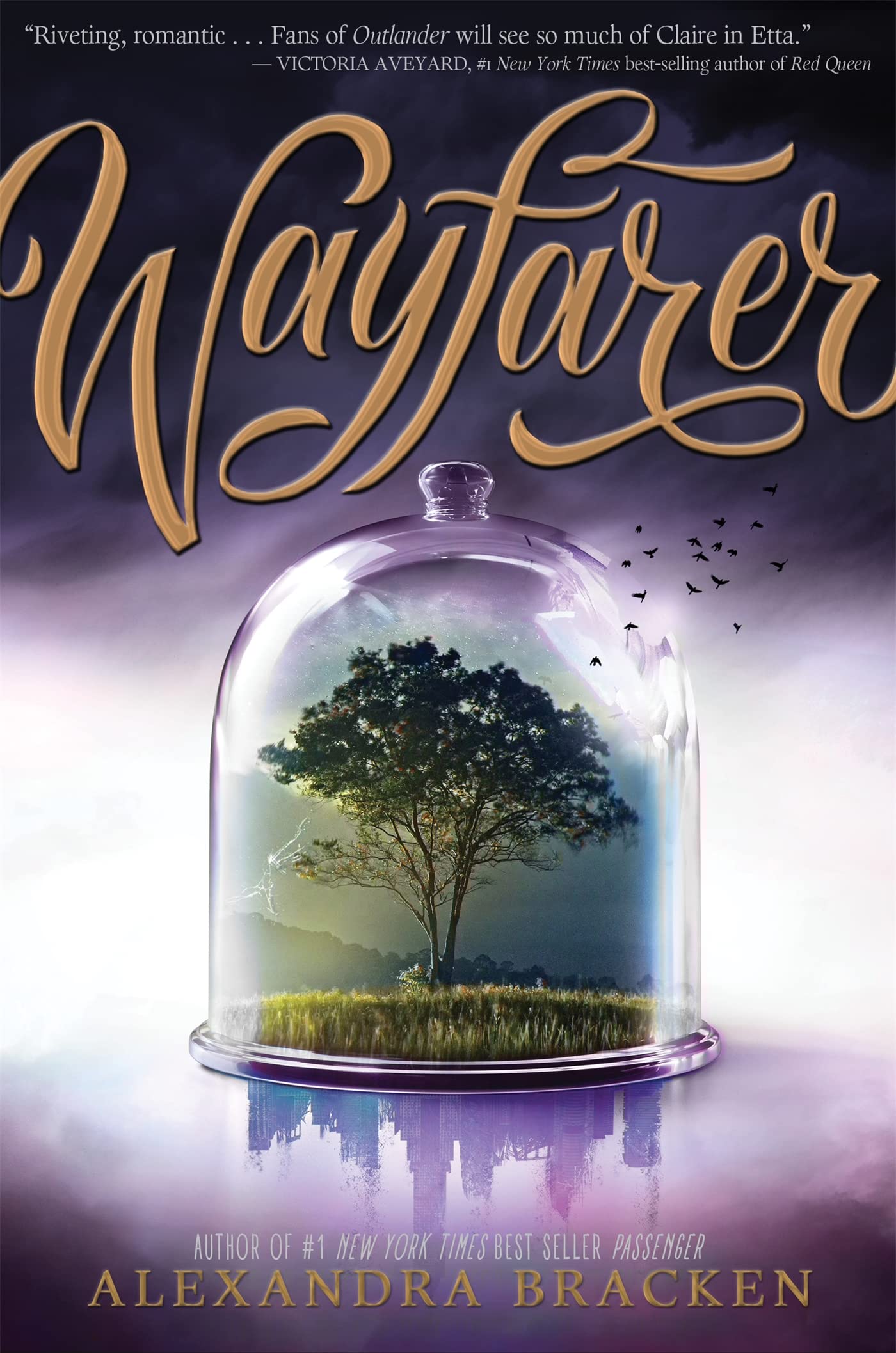 Passenger: Wayfarer,Used