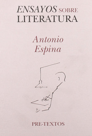Ensayos sobre literatura (Hispnicas) (Spanish Edition),Used