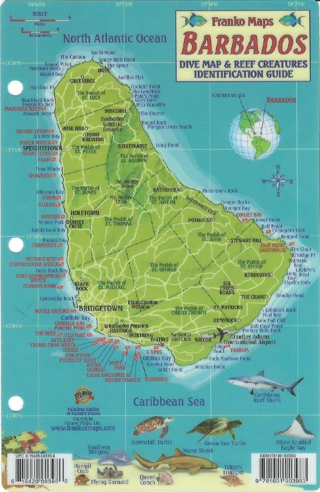 Barbados Dive Map & Reef Creatures Waterproof Fish Card,Used
