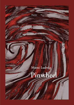 Pinwheel (New Issues Poetry & Prose),Used