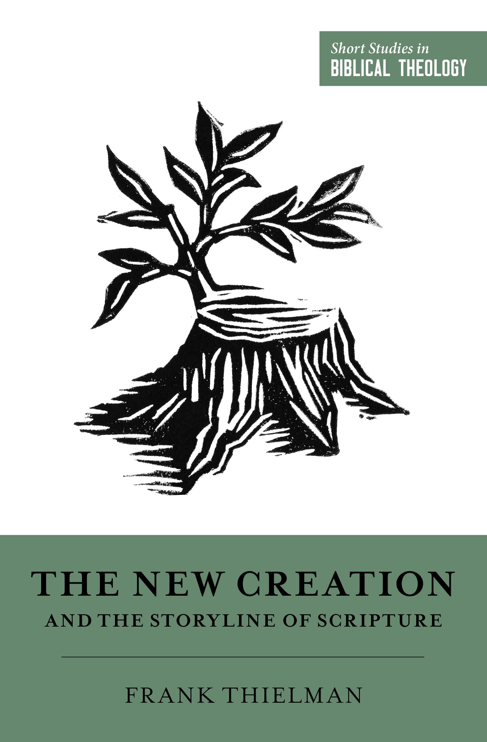 The New Creation and the Storyline of Scripture (Short Studies in Biblical Theology),Used
