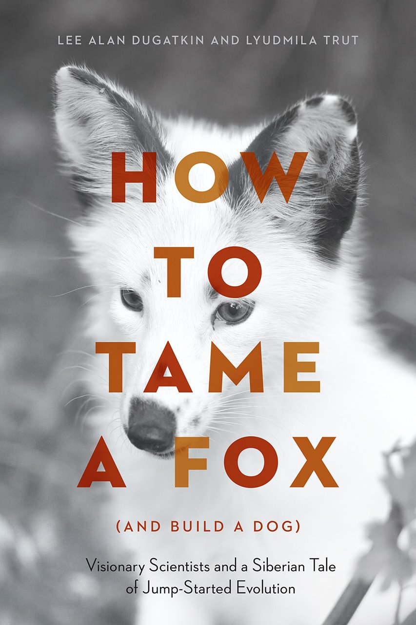 How To Tame A Fox (And Build A Dog): Visionary Scientists And A Siberian Tale Of Jumpstarted Evolution,Used
