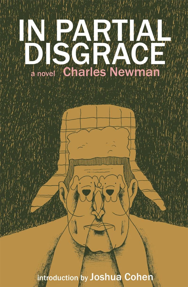 In Partial Disgrace (American Literature),Used