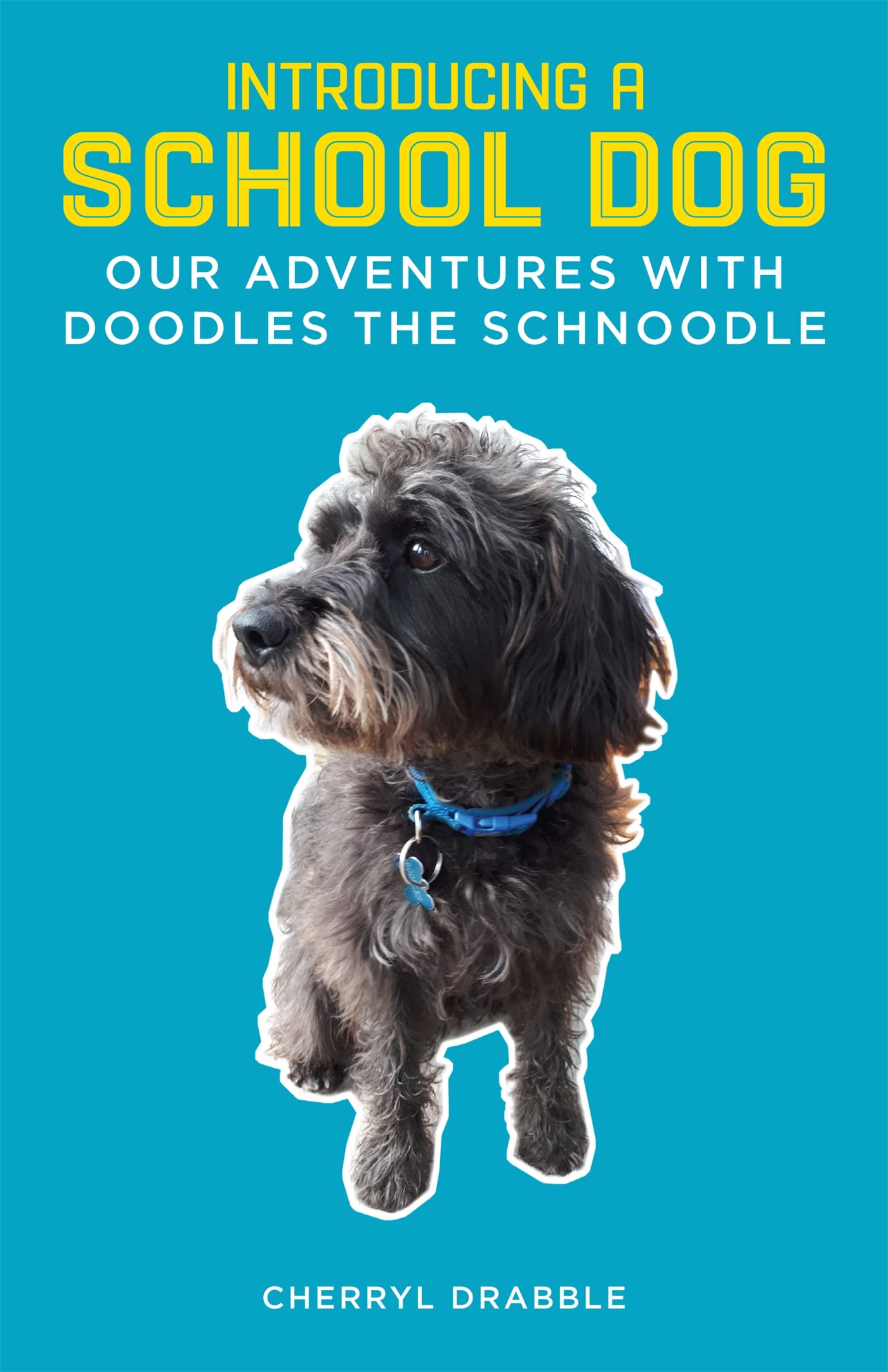 Introducing a School Dog,Used