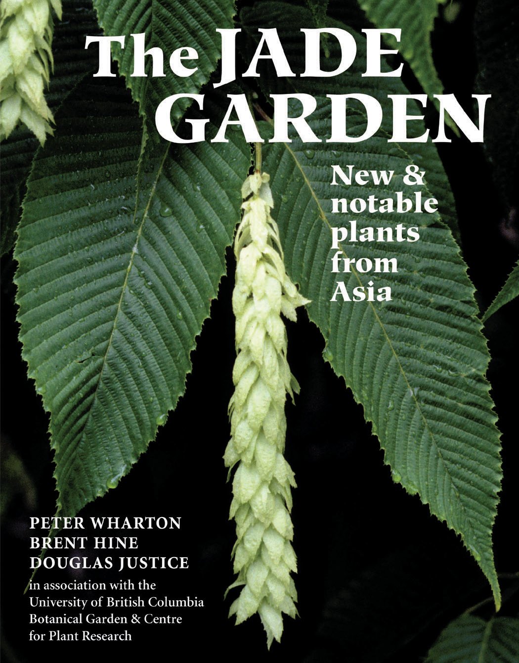 The Jade Garden: New And Notable Plants From Asia